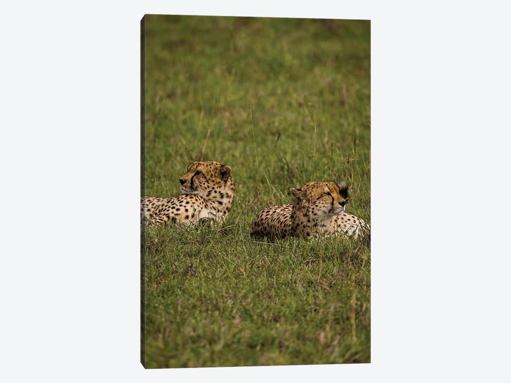 Back To Back by Sean Marier 1-piece Canvas Print