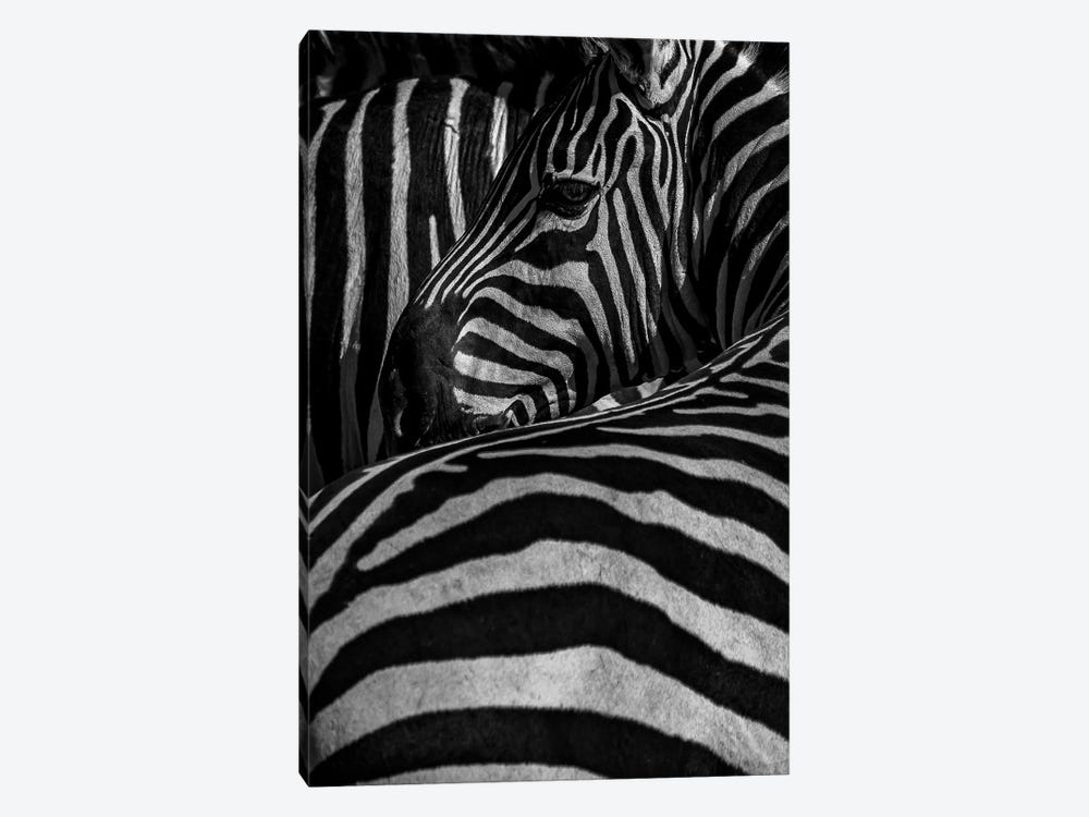 Stripes On Stripes by Sean Marier 1-piece Art Print