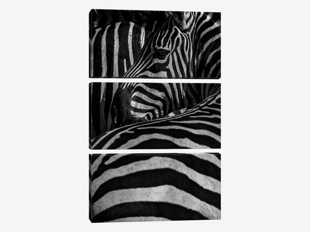 Stripes On Stripes by Sean Marier 3-piece Canvas Art Print
