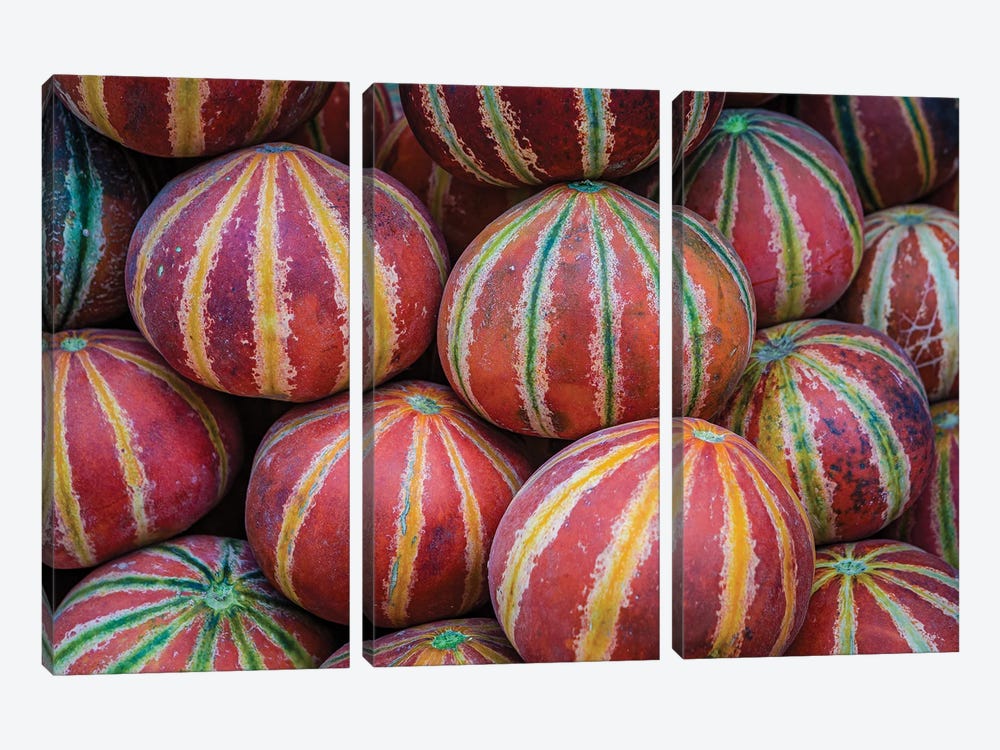 Market Finds, Kajari Melons (Delhi, India) by Sean Marier 3-piece Canvas Art