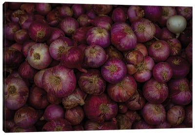 Market Finds, Red Onions (Alipura, India) Canvas Art Print - India Art