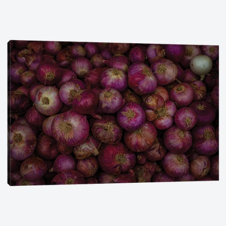 Market Finds, Red Onions (Alipura, India) Canvas Print #SMX476} by Sean Marier Art Print