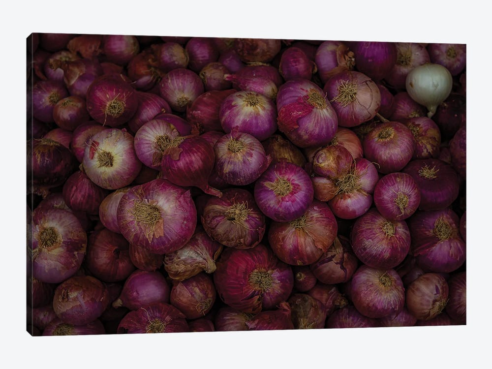 Market Finds, Red Onions (Alipura, India) by Sean Marier 1-piece Canvas Art Print