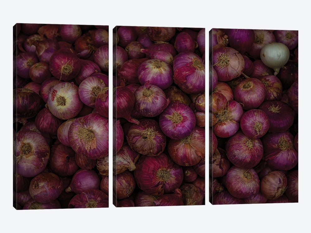 Market Finds, Red Onions (Alipura, India) by Sean Marier 3-piece Canvas Art Print
