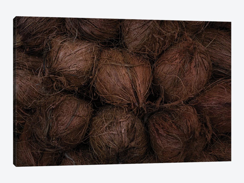 Market Finds, Coconuts (Orchha, India) by Sean Marier 1-piece Canvas Art Print