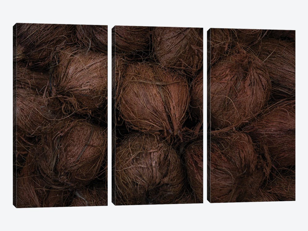Market Finds, Coconuts (Orchha, India) by Sean Marier 3-piece Canvas Print