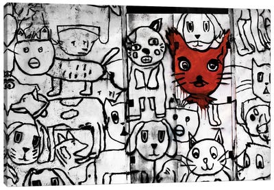 Red Cat Canvas Art Print - Sean Marier