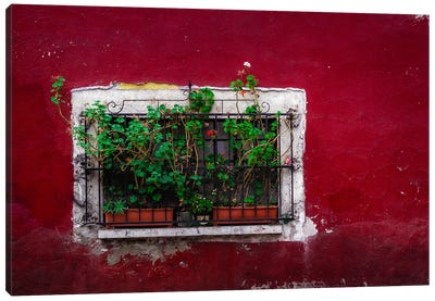 Coyoacán Red, Mexico City Canvas Art Print - Sean Marier
