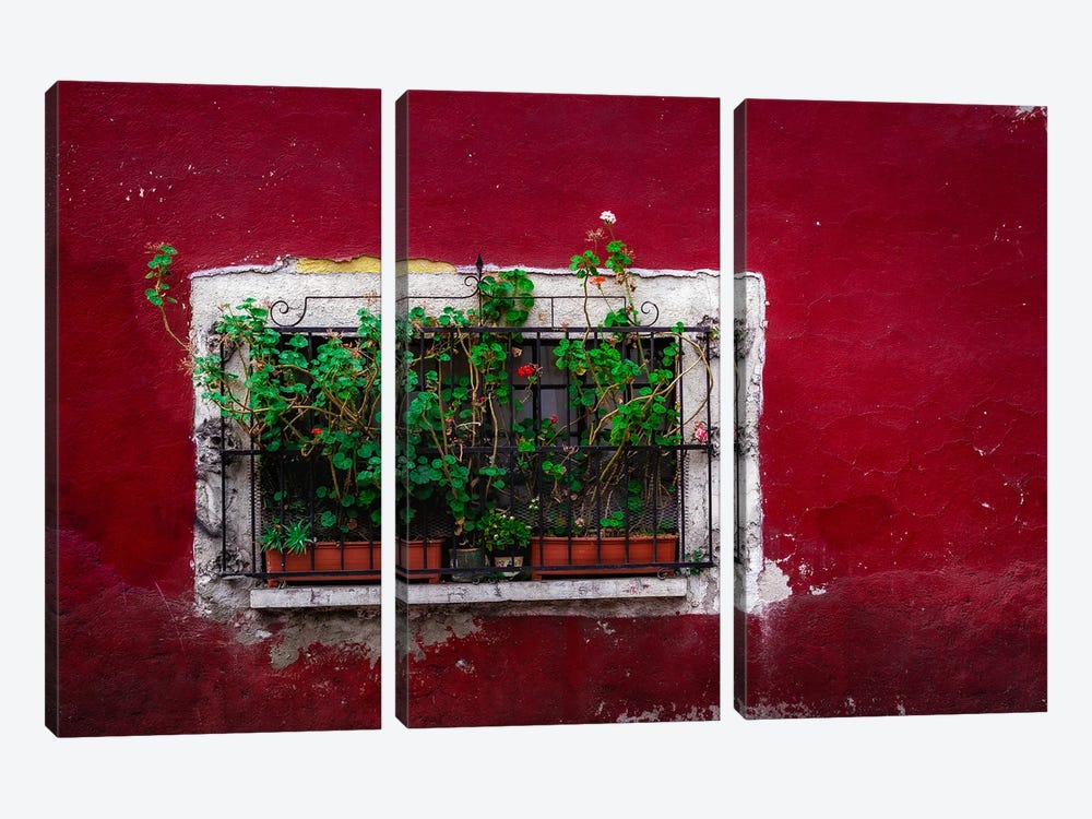 Coyoacán Red, Mexico City by Sean Marier 3-piece Canvas Wall Art