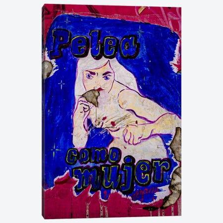 Pelea Como Mujer (Fight Like A Woman), Mexico City Canvas Print #SMX544} by Sean Marier Canvas Art Print