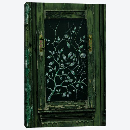 Green Door, Paris Canvas Print #SMX552} by Sean Marier Canvas Art Print
