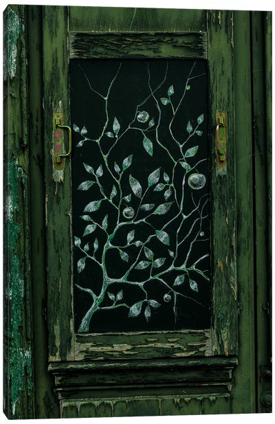 Green Door, Paris Canvas Art Print