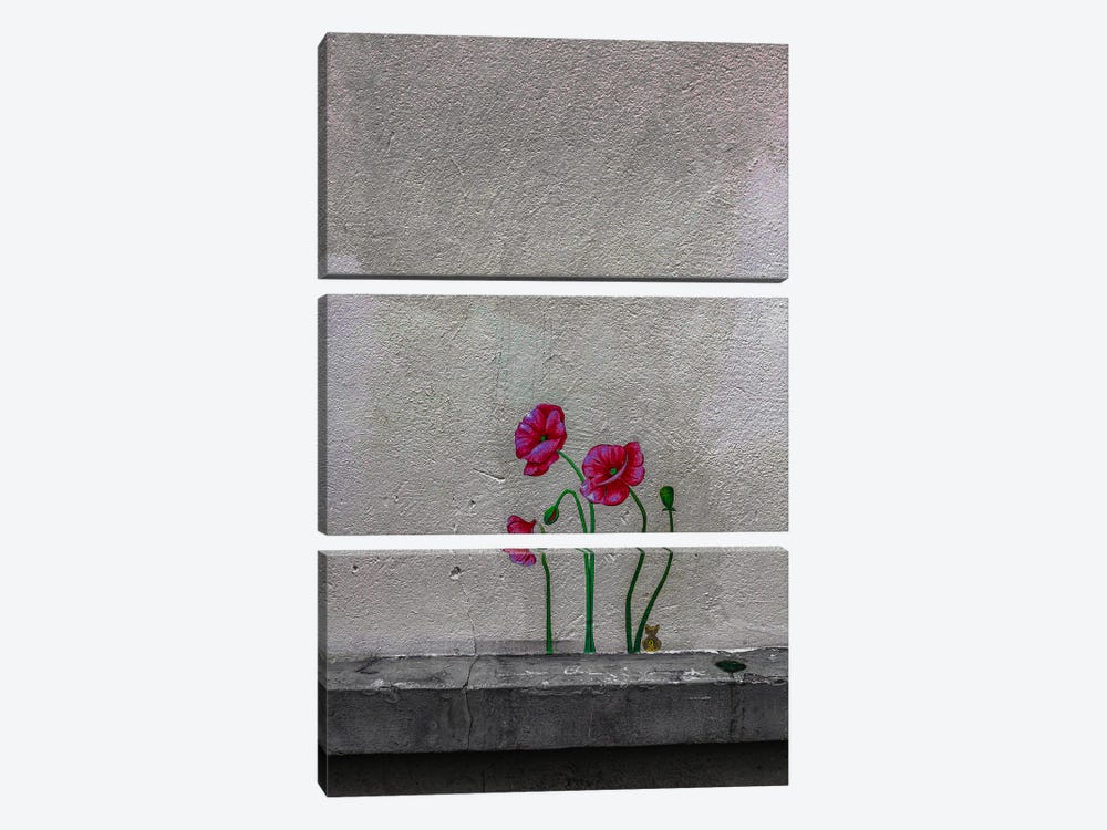 From Concrete, Paris by Sean Marier 3-piece Canvas Art Print