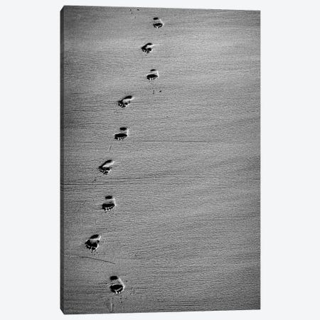 Footprints In The Sand Canvas Print #SMX64} by Sean Marier Art Print
