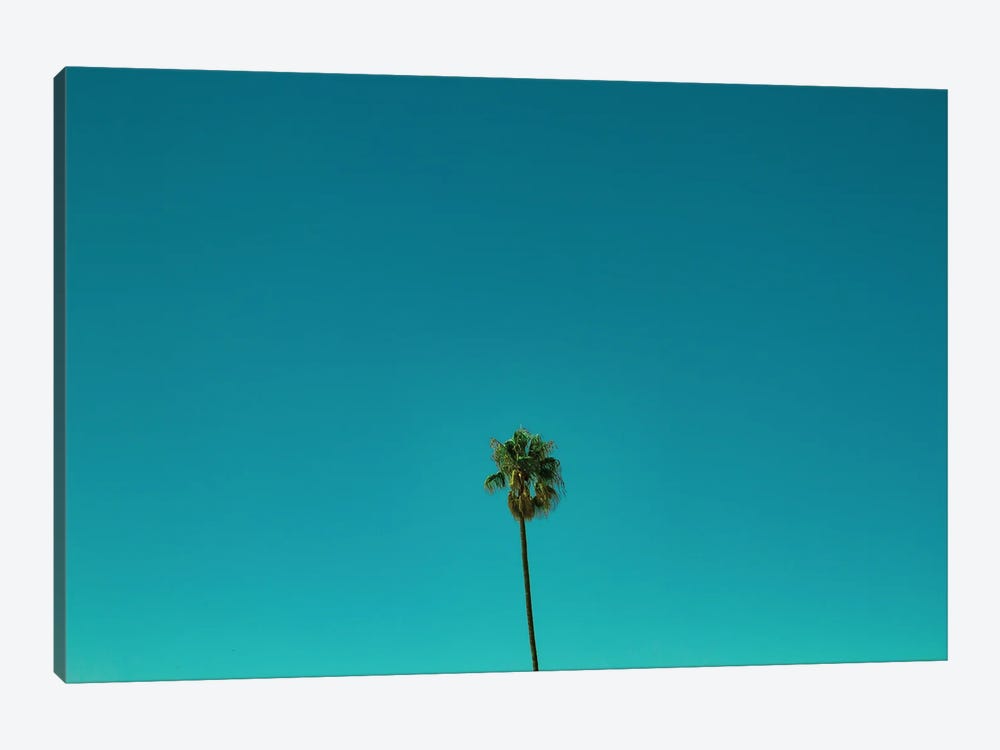 Palm Trees And Blue Skies by Sean Marier 1-piece Canvas Print