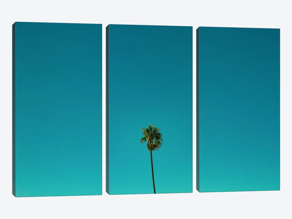 Palm Trees And Blue Skies by Sean Marier 3-piece Canvas Art Print