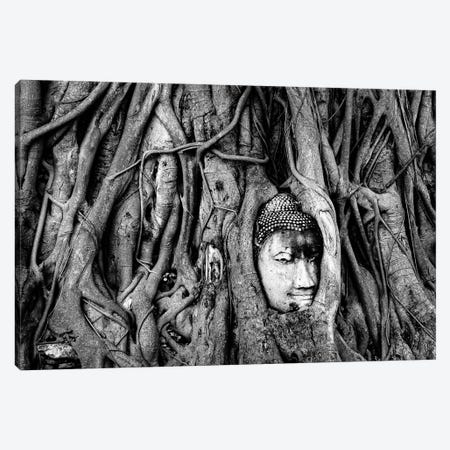 Buddha's Roots Canvas Print #SMX7} by Sean Marier Art Print