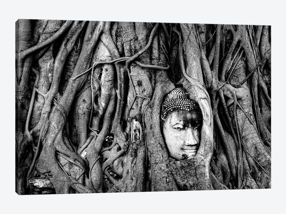 Buddha's Roots by Sean Marier 1-piece Canvas Art Print