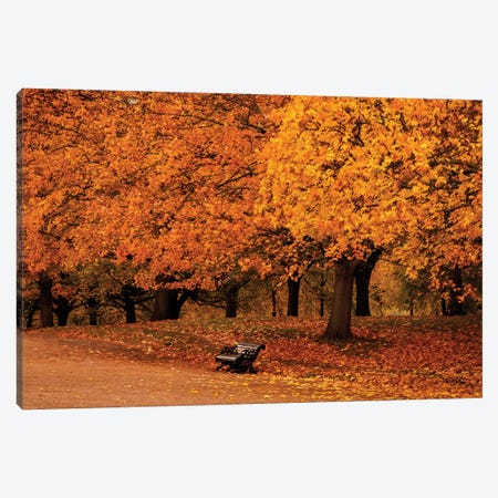 Autumn In Hyde Park, London Canvas Print #SMX85} by Sean Marier Canvas Art Print