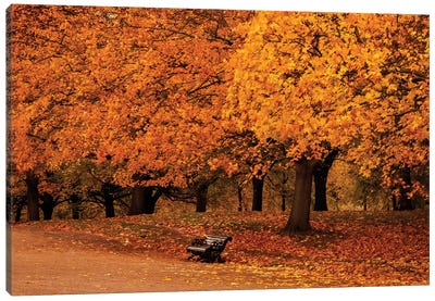 Autumn In Hyde Park, London Canvas Art Print - England Art