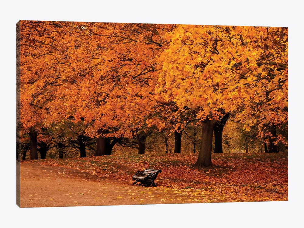Autumn In Hyde Park, London by Sean Marier 1-piece Canvas Art