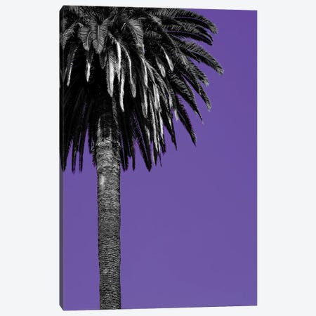 California Purple Canvas Print #SMX91} by Sean Marier Art Print