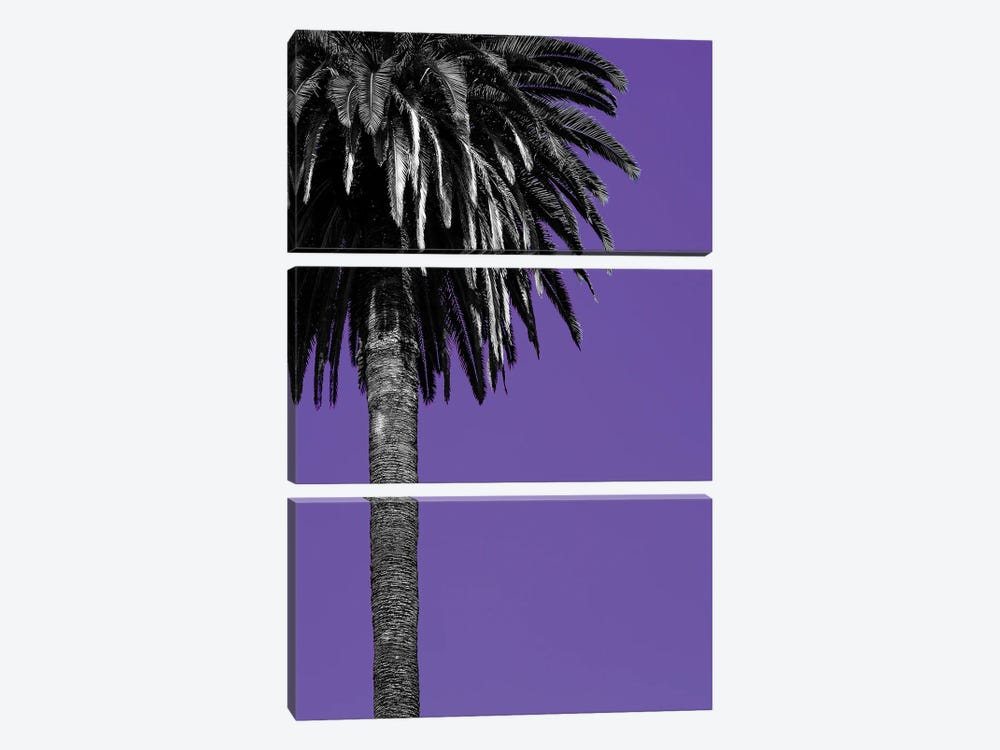 California Purple by Sean Marier 3-piece Art Print