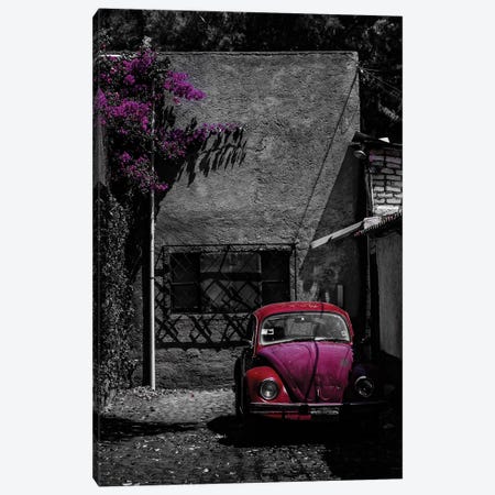 Coyoacán Red Canvas Print #SMX9} by Sean Marier Canvas Wall Art