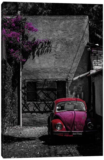 Coyoacán Red Canvas Art Print - Pantone 2023 Viva Magenta