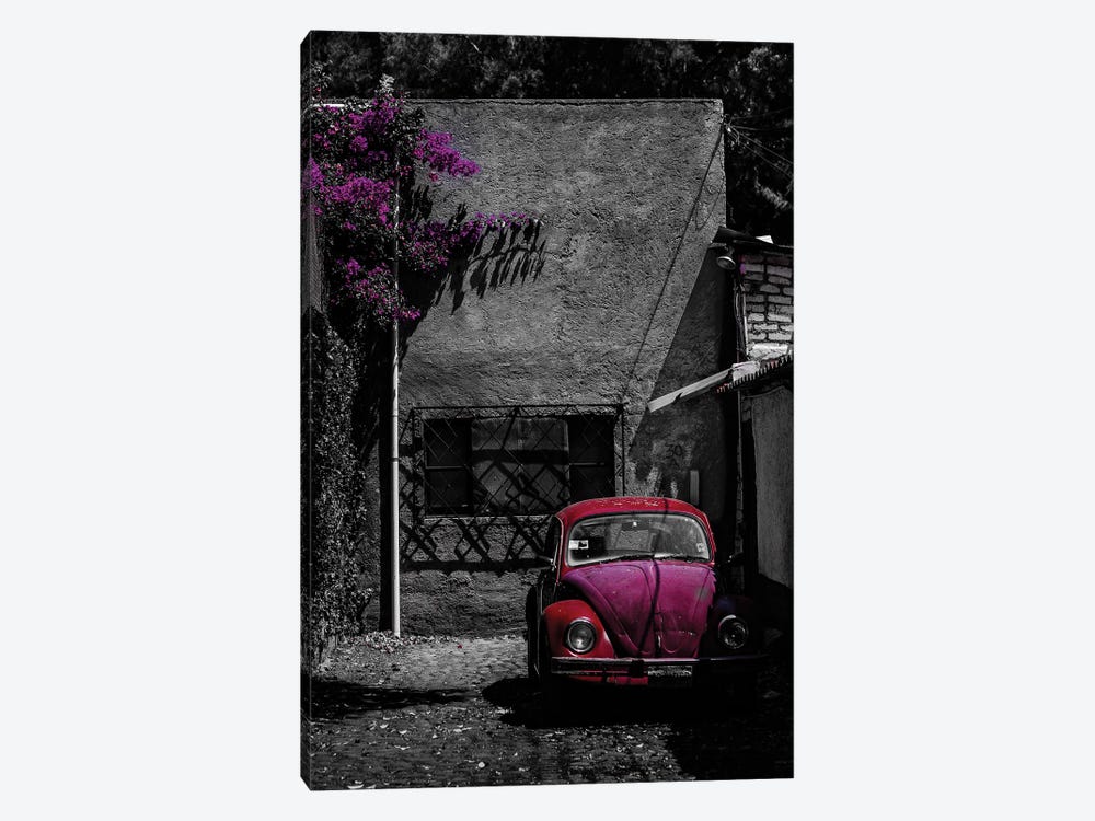 Coyoacán Red by Sean Marier 1-piece Art Print