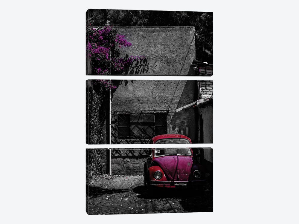 Coyoacán Red by Sean Marier 3-piece Canvas Art Print