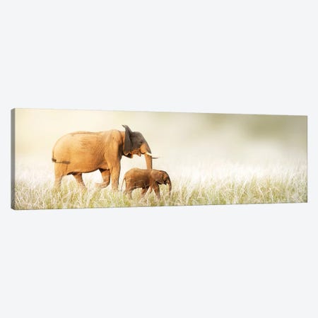 Mom And Baby Elephant Walking Through Tall Grass Canvas Print #SMZ100} by Susan Schmitz Canvas Print