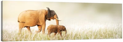 Mom And Baby Elephant Walking Through Tall Grass Canvas Art Print - Susan Richey