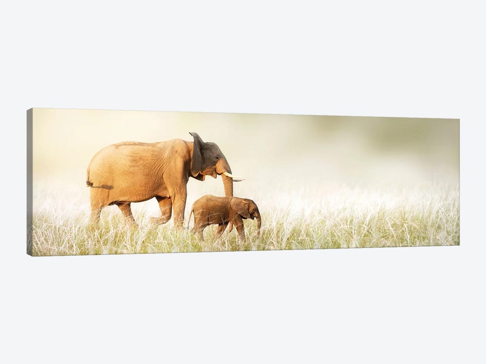 Mom And Baby Elephant Walking Through Tall Grass by Susan Richey 1-piece Canvas Art