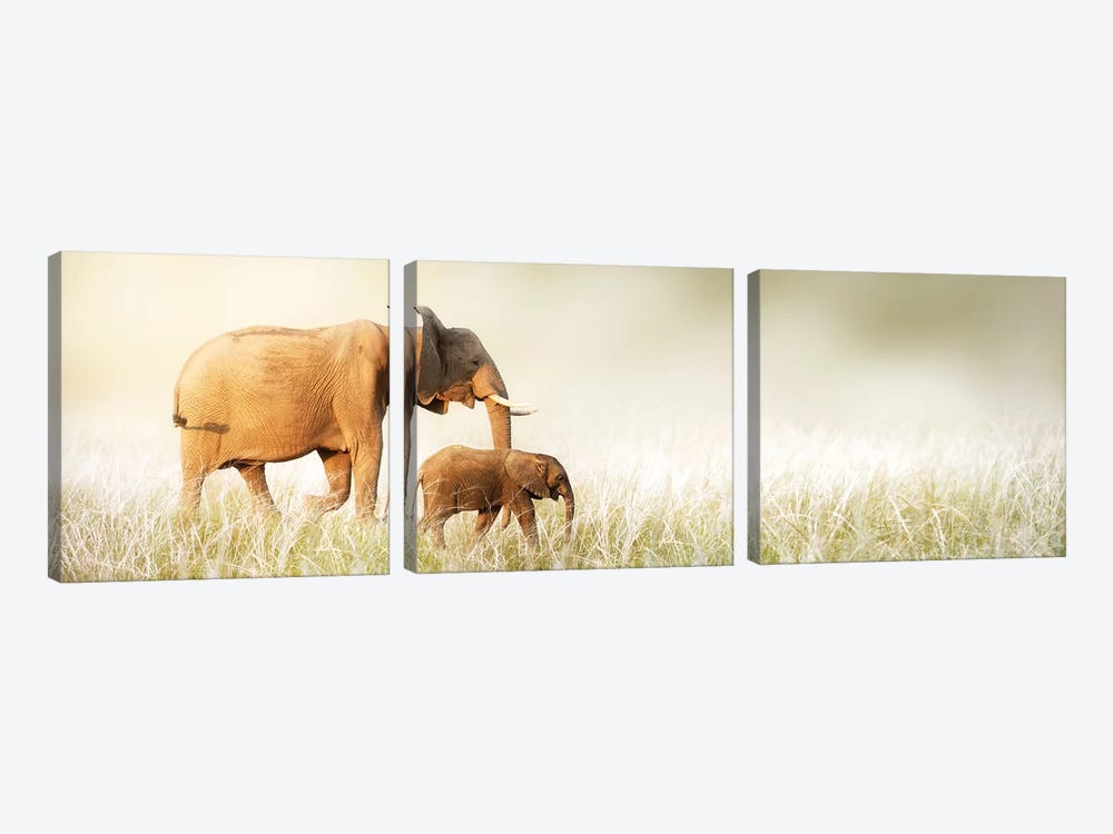 Mom And Baby Elephant Walking Through Tall Grass by Susan Richey 3-piece Canvas Art