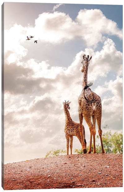 Mother And Baby Giraffe Looking Out Into Sunrise Canvas Art Print - Giraffe Art