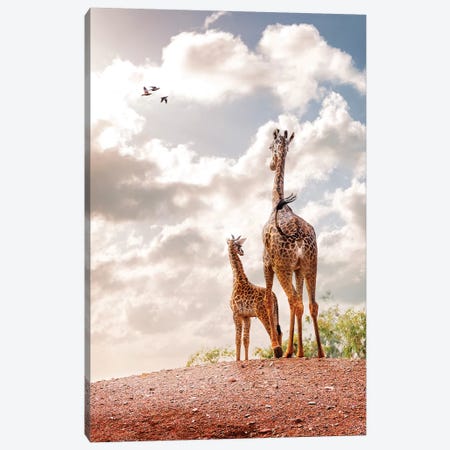 Mother And Baby Giraffe Looking Out Into Sunrise Canvas Print #SMZ103} by Susan Schmitz Canvas Print