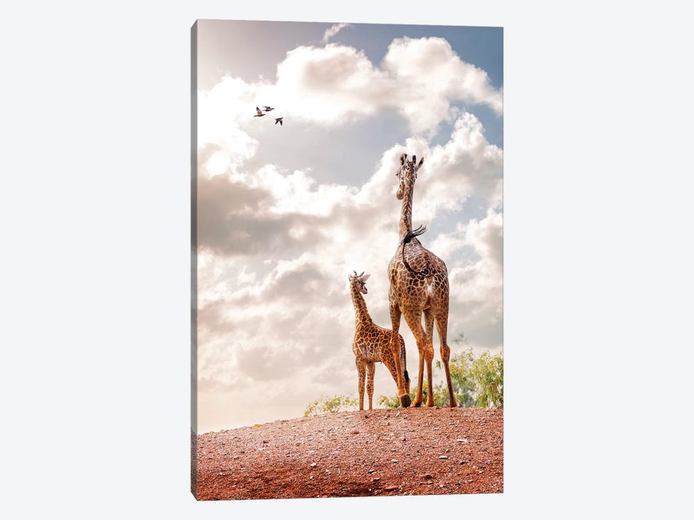 Mother And Baby Giraffe Looking Out Into Sunrise by Susan Richey 1-piece Canvas Print