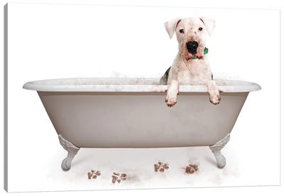 Muddy Dog In Bath Tub Canvas Art Print - Bathroom Humor Art