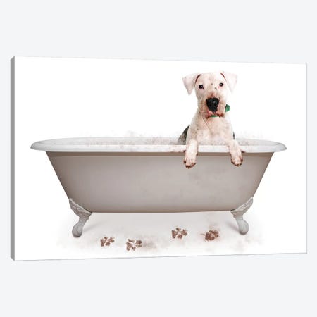 Muddy Dog In Bath Tub Canvas Print #SMZ107} by Susan Richey Canvas Artwork