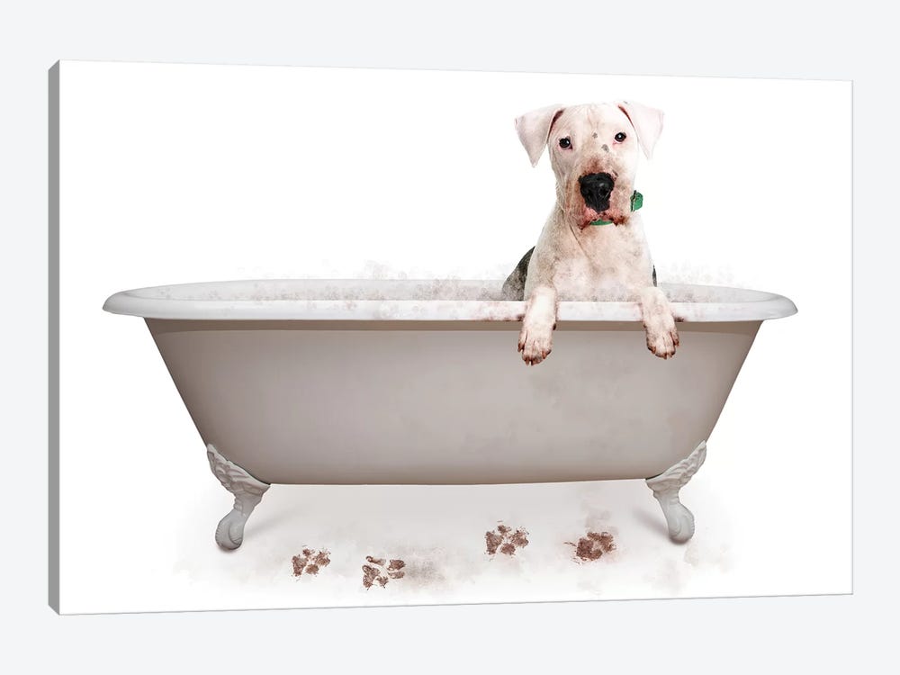 Muddy Dog In Bath Tub 1-piece Art Print