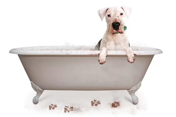 Bathroom Humor: Muddy Dog In Bath Tub by Susan Richey
