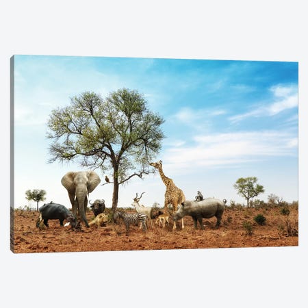 African Safari Animals Meeting Together Around Tree II Canvas Print #SMZ10} by Susan Schmitz Art Print