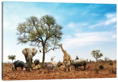 African Safari Animals Meeting Together Around Tree II Canvas Art Print - African Culture