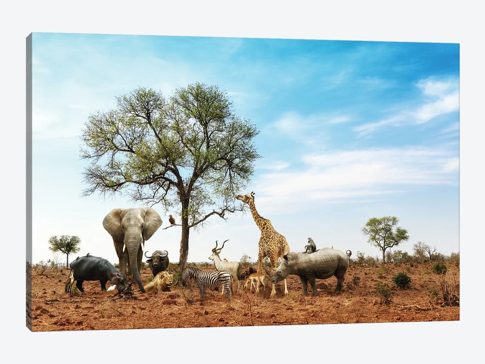 African Safari Animals Meeting Together Around Tree II by Susan Richey 1-piece Canvas Print