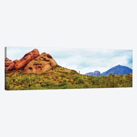 Papago Park Phoenix Arizona Horizontal Banner Canvas Print #SMZ113} by Susan Schmitz Canvas Art