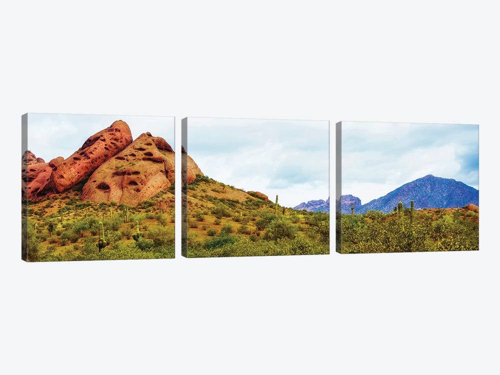 Papago Park Phoenix Arizona Horizontal Banner by Susan Richey 3-piece Canvas Art