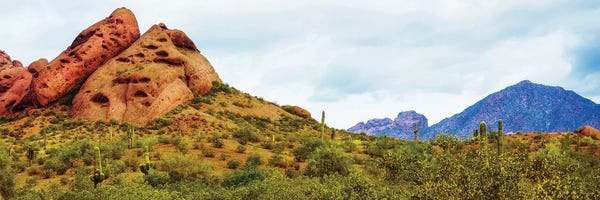 Phoenix: Papago Park Phoenix Arizona Horizontal Banner by Susan Richey