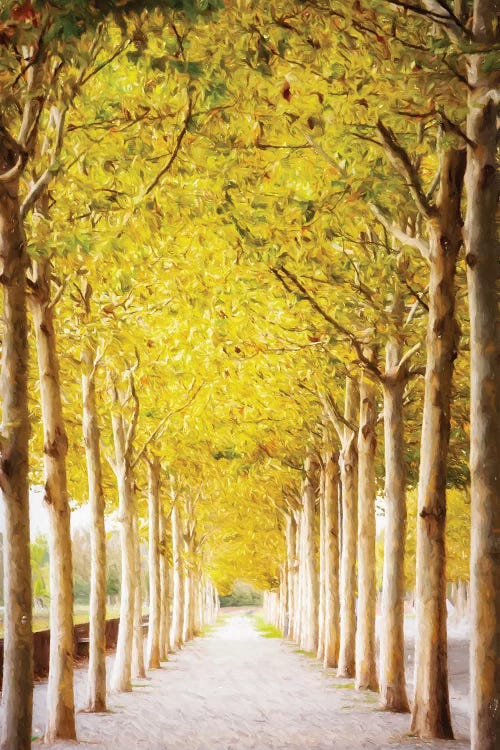 Pathway Lined With Trees Artistic Painting II