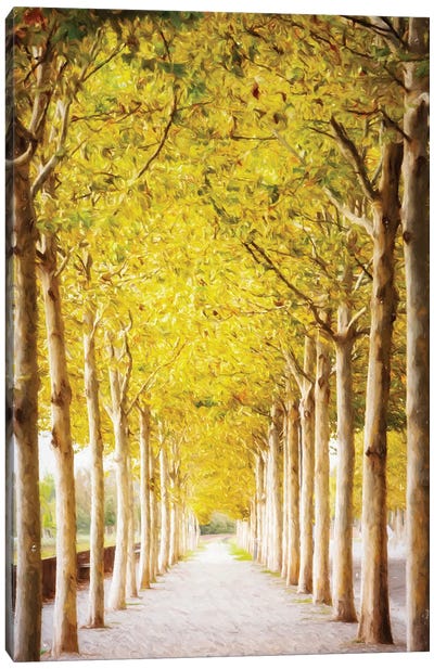 Pathway Lined With Trees Artistic Painting II Canvas Art Print - Susan Richey